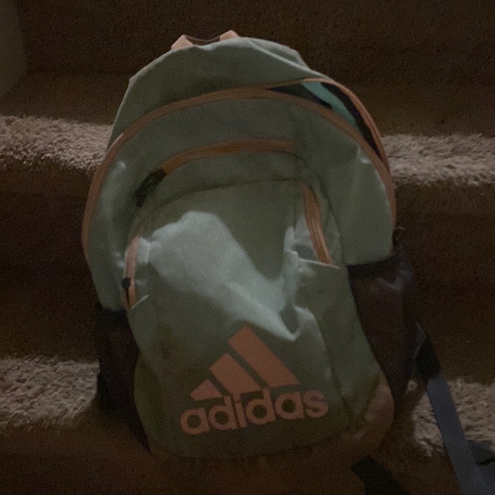 blue and pink large adidas backpack